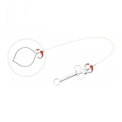 Wegwerp polypectomie-snaar